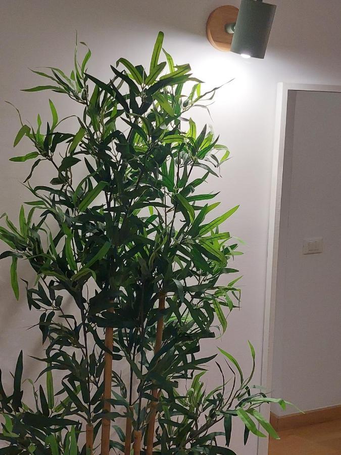 Conte Rosso Apartment Roma Dış mekan fotoğraf